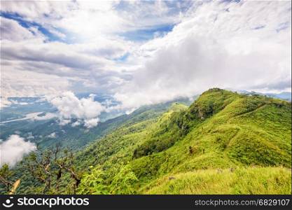 Beautiful natural landscape from the high angle view of Mekong River forest and clouds in the sky on the mountain at Doi Pha Tang view point, Chiang Rai Province, Thailand