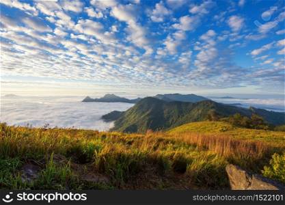 Beautiful natural landscape on mountain with blue sky, cloud, and misty fog after sunrise in winter at view point Phu Chi Fa Park in Chiang Rai, Thailand. Famous travel destination of Northern of Thai