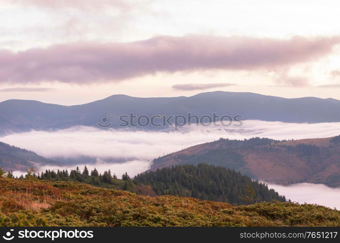 Beautiful natural landscapes in Carpathian mountains