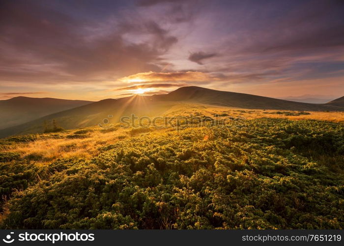 Beautiful natural landscapes in Carpathian mountains