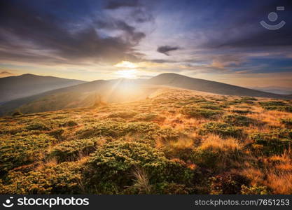 Beautiful natural landscapes in Carpathian mountains