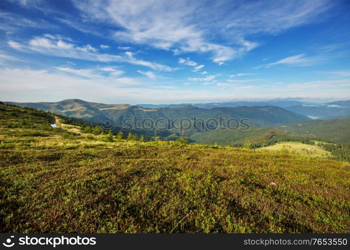 Beautiful natural landscapes in Carpathian mountains