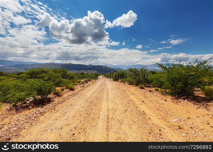 Beautiful natural landscapes in Northern Argentina. Gravel road among cactus.