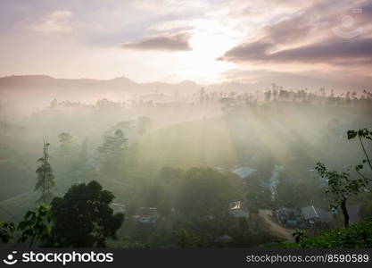 Beautiful natural landscapes on Sri Lanka at sunset