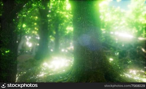 beautiful nature at morning in the misty spring forest with sun rays. Morning in the Misty Spring Forest with Sun Rays