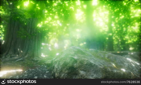 beautiful nature at morning in the misty spring forest with sun rays. Morning in the Misty Spring Forest with Sun Rays