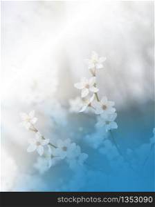 Beautiful Nature Background.Floral Art Design.Abstract Macro Photography.Colorful Flower.Spring Flowers.Creative Artistic Wallpaper.Celebration,love.Close up View.Happy Holidays.Copy Space.White Color.Sakura Cherry Blossom Tree.Wedding Invitation.Blue Sky.