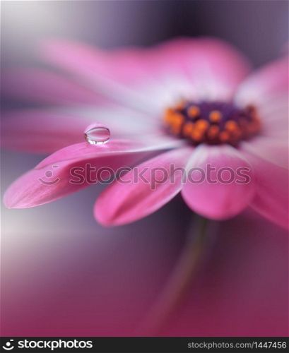 Beautiful Nature Background.Floral Art Design.Abstract Macro Photography.Daisy Flower.Pastel Flowers.Violet Background.Creative Artistic Wallpaper.Wedding Invitation.Celebration,love.Close up View.Happy Holidays.Pink Color.Copy Space.