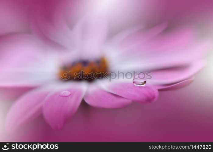 Beautiful Nature Background.Floral Art Design.Abstract Macro Photography.Daisy Flower.Pastel Flowers.Violet Background.Creative Artistic Wallpaper.Wedding Invitation.Celebration,love.Close up View.Happy Holidays.Pink Color.Copy Space.