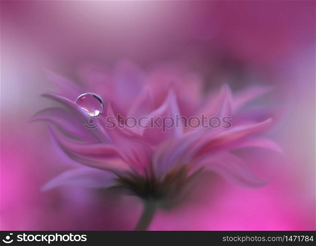Beautiful Nature Background.Floral Art Design.Abstract Macro Photography.Daisy Flower.Pastel Flowers.Violet Background.Creative Artistic Wallpaper.Wedding Invitation.Celebration,love.Close up View.Happy Holidays.Pink Color.Copy Space.Water Drop.