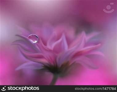 Beautiful Nature Background.Floral Art Design.Abstract Macro Photography.Daisy Flower.Pastel Flowers.Violet Background.Creative Artistic Wallpaper.Wedding Invitation.Celebration,love.Close up View.Happy Holidays.Pink Color.Copy Space.Water Drop.
