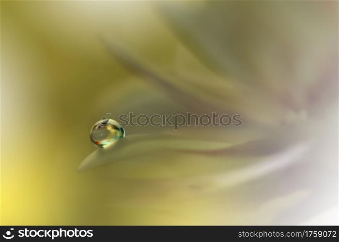 Beautiful Nature Background.Floral Art Design.Abstract Macro Photography.Daisy Flower.Pastel Flowers.Yellow Background.Creative Artistic Wallpaper.Wedding Invitation.Celebration,love.Close up View.Happy Holidays.Golden Color.Copy Space.Water Drop.Spa.