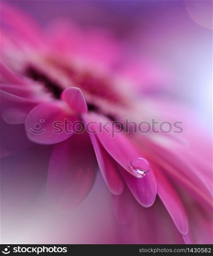 Beautiful Nature Background.Floral Art Design.Abstract Macro Photography.Gerbera Daisy Flower.Pastel Flowers.Pink Background.Creative Artistic Wallpaper.Wedding Invitation.Celebration,love.Close up View.Happy Holidays.Violet Color.Copy Space.