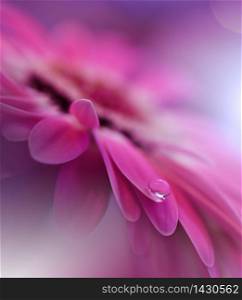 Beautiful Nature Background.Floral Art Design.Abstract Macro Photography.Gerbera Daisy Flower.Pastel Flowers.Pink Background.Creative Artistic Wallpaper.Wedding Invitation.Celebration,love.Close up View.Happy Holidays.Violet Color.Copy Space.
