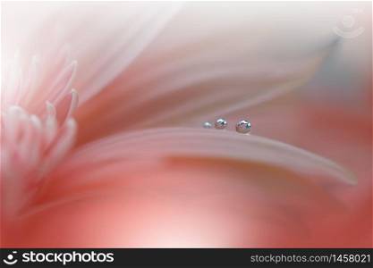 Beautiful Nature Background.Floral Art Design.Abstract Macro Photography.Gerbera Daisy Flower.Pastel Flowers.Coral Color Background.Creative Artistic Wallpaper.Wedding Invitation.Celebration,love.Close up View.Happy Holidays.Orange Color.Copy Space.