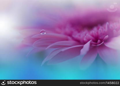 Beautiful Nature Background.Floral Art Design.Abstract Macro Photography.Gerbera Daisy Flower.Pastel Flowers.Violet Background.Creative Artistic Wallpaper.Wedding Invitation.Celebration,love.Close up View.Happy Holidays.Blue Color.Copy Space.