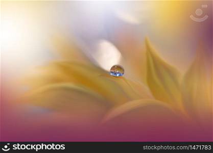 Beautiful Nature Background.Floral Art Design.Abstract Macro Photography.Gerbera Daisy Flower.Pastel Flowers.Yellow Background.Creative Artistic Wallpaper.Wedding Invitation.Celebration,love.Close up View.Happy Holidays.Golden Color.Copy Space.Water Drop.