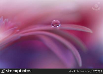 Beautiful Nature Background.Floral Art Design.Abstract Macro Photography.Gerbera Daisy Flower.Pastel Flowers.Violet Background.Creative Artistic Wallpaper.Wedding Invitation.Celebration,love.Close up View.Happy Holidays.Pink Color.Copy Space.Water Drop.