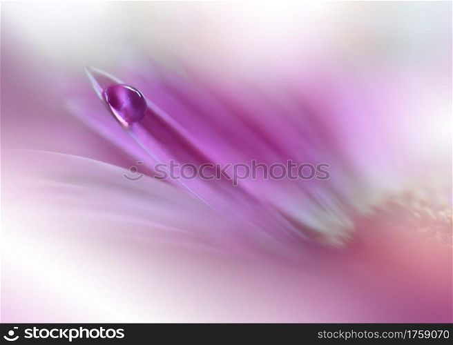 Beautiful Nature Background.Floral Art Design.Abstract Macro Photography.Gerbera Daisy Flower.Pastel Flowers.Violet Background.Creative Artistic Wallpaper.Wedding Invitation.Celebration,love.Close up View.Happy Holidays.Pink Color.Copy Space.Water Drop