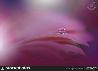 Beautiful Nature Background.Floral Art Design.Abstract Macro Photography.Gerbera Daisy Flower.Pastel Flowers.Violet Background.Creative Artistic Wallpaper.Wedding Invitation.Celebration,love.Close up View.Happy Holidays.Pink Color.Copy Space.Water Drop