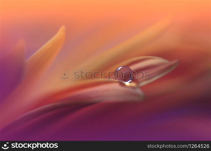 Beautiful Nature Background.Floral Art Design.Abstract Macro Photography.Gerbera Flower.Pastel Flowers.Violet Background.Creative Artistic Wallpaper.Wedding Invitation.Celebration,love.Close up View.Happy Holidays.Copy Space.Water Drops.