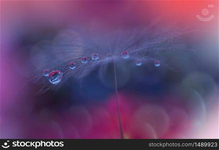 Beautiful Nature Background.Floral Art Design.Abstract Macro Photography.Pastel Flower.Dandelion Flowers.Blue Background.Creative Artistic Wallpaper.Wedding Invitation.Celebration,love.Close up View.Water Drops.Tranquil Natural Background.Violet Color.