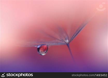 Beautiful Nature Background.Floral Art Design.Abstract Macro Photography.Pastel Flower.Dandelion Flowers.Violet Background.Creative Artistic Wallpaper.Wedding Invitation.Celebration,love.Close up View.Water Drops.Tranquil Natural Background.Violet Color.
