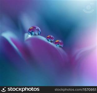 Beautiful Nature Background.Floral Art Design.Abstract Macro Photography.Violet Daisy Flower.Pastel Flowers.Blue Background.Creative Artistic Wallpaper.Wedding Invitation.Celebration,love.Close up View.Happy Holidays.Green Color.Copy Space.Water Drops.