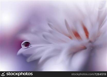 Beautiful Nature Background.Floral Art Design.Abstract Macro Photography.White Daisy Flower.Pastel Flowers.White Background.Creative Artistic Wallpaper.Wedding Invitation.Celebration,love.Close up View.Happy Holidays.Golden Color.Copy Space