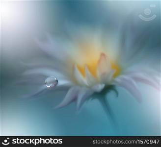 Beautiful Nature Background.Floral Art Design.Abstract Macro Photography.White Daisy Flower.Pastel Flowers.Green Background.Creative Artistic Wallpaper.Wedding Invitation.Celebration,love.Close up View.Happy Holidays.Golden Color.Copy Space.Water Drop.