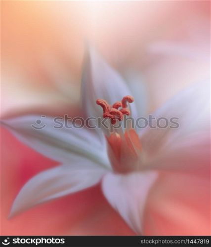 Beautiful Nature Background.Floral Art Design.Abstract Macro Photography.White Flower.Pastel Flowers.White Background.Creative Artistic Wallpaper.Wedding Invitation.Celebration,love.Close up View.Happy Holidays.Pink Color.Copy Space.