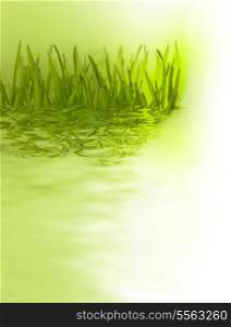 Beautiful nature background. Grass over blurred green backdrop.