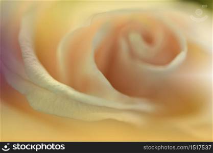 Beautiful Nature Background.Macro Shot of Amazing Spring Magic Rose Flowers.Border Art Design.Magic light.Extreme close up Photography.Conceptual Abstract Image.Fantasy Floral Art.Creative Artistic Wallpaper.Web Banner.Golden and Yellow Colors.