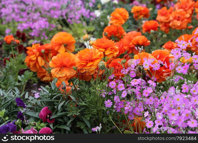 Beautiful nature background with bright flowers