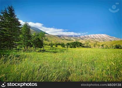Beautiful nature landscape, amazing view on mountainous valley with Cedar trees, gorgeous nature of Lebanon