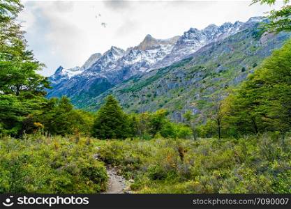 Beautiful nature landscape at Torres del Paine National Park in Southern Chilean Patagonia, Chile