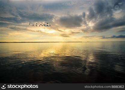 Beautiful nature landscape, bright golden sunlight in the sky and silhouette flock of birds flying for a living in the morning during the sunrise over Songkhla Lake, Phatthalung province, Thailand. Birds flying during the sunrise over Songkhla Lake, Thailand