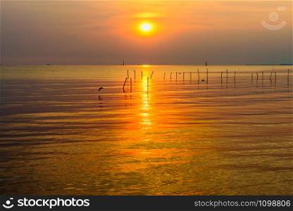 Beautiful nature landscape bright yellow sun reflecting orange light on the water surface of the sea and golden sunlight in sky, Colorful sunset at the tropical coast in Bangpu, Samut Prakan, Thailand. Colorful sunset at the tropical coast in Thailand