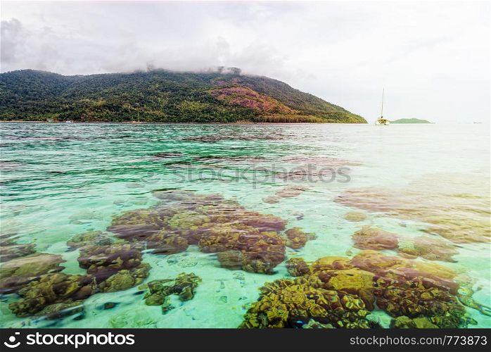 Beautiful nature landscape clear green sea water and shallow coral reefs of Koh Lipe, Ko Adang island background under morning sunlight during sunrise in summer, Tarutao National Park, Satun, Thailand. Clear green sea of Koh Lipe island during sunrise, Thailand