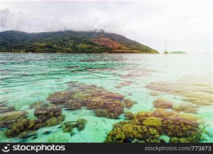 Beautiful nature landscape clear green sea water and shallow coral reefs of Koh Lipe, Ko Adang island background under morning sunlight during sunrise in summer, Tarutao National Park, Satun, Thailand. Clear green sea of Koh Lipe island during sunrise, Thailand