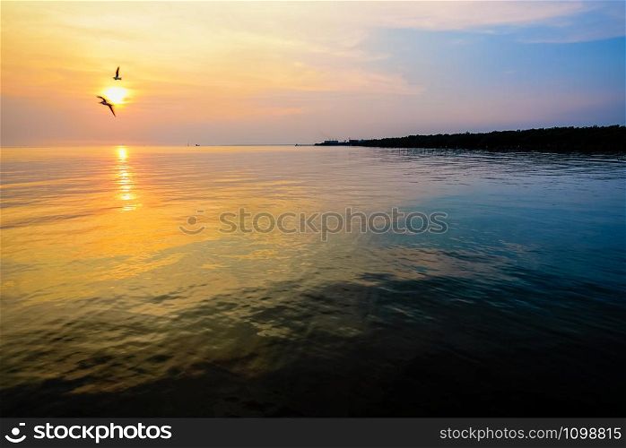Beautiful nature landscape for background bright sun golden sunlight reflect the water, two birds a pair of seagulls flying on yellow, orange sky at sunset over the sea and horizon at Bangpu, Thailand. Beautiful sunset two birds flying above the sea