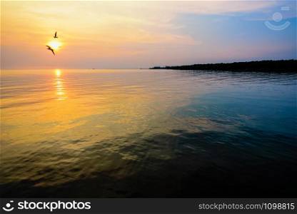 Beautiful nature landscape for background bright sun golden sunlight reflect the water, two birds a pair of seagulls flying on yellow, orange sky at sunset over the sea and horizon at Bangpu, Thailand. Beautiful sunset two birds flying above the sea