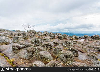 Beautiful nature landscape of green forests on Lan Hin Pum viewpoint with strange stone shapes caused by erosion is a famous nature attractions of Phu Hin Rong Kla National Park, Phitsanulok, Thailand. Lan Hin Pum