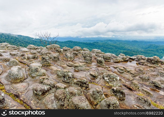 Beautiful nature landscape of green forests on Lan Hin Pum viewpoint with strange stone shapes caused by erosion is a famous nature attractions of Phu Hin Rong Kla National Park, Phitsanulok, Thailand. Lan Hin Pum