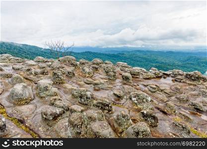 Beautiful nature landscape of green forests on Lan Hin Pum viewpoint with strange stone shapes caused by erosion is a famous nature attractions of Phu Hin Rong Kla National Park, Phitsanulok, Thailand. Lan Hin Pum