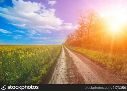 Beautiful nature landscape. Sunshine in Bakota Park, Ukraine. Sunshine in Bakota Park