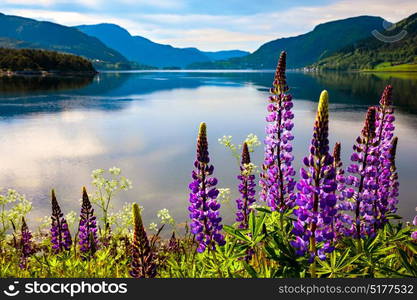 Beautiful Nature Norway natural landscape.