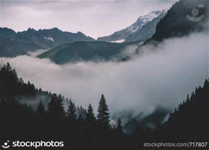 Beautiful nature of Racha, Georgia, Deep dark forest and Peak foggy landscape
