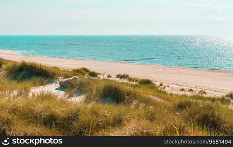 Beautiful nature scenery on Sylt island in North Sea, Germany, with the marram grass dunes and the blue sea water