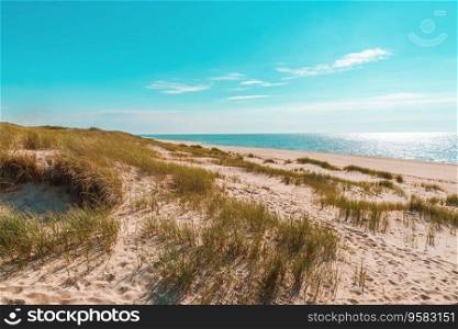 Beautiful nature scenery on Sylt island, in North Sea, Germany, with the beach and the blue water on a sunny day